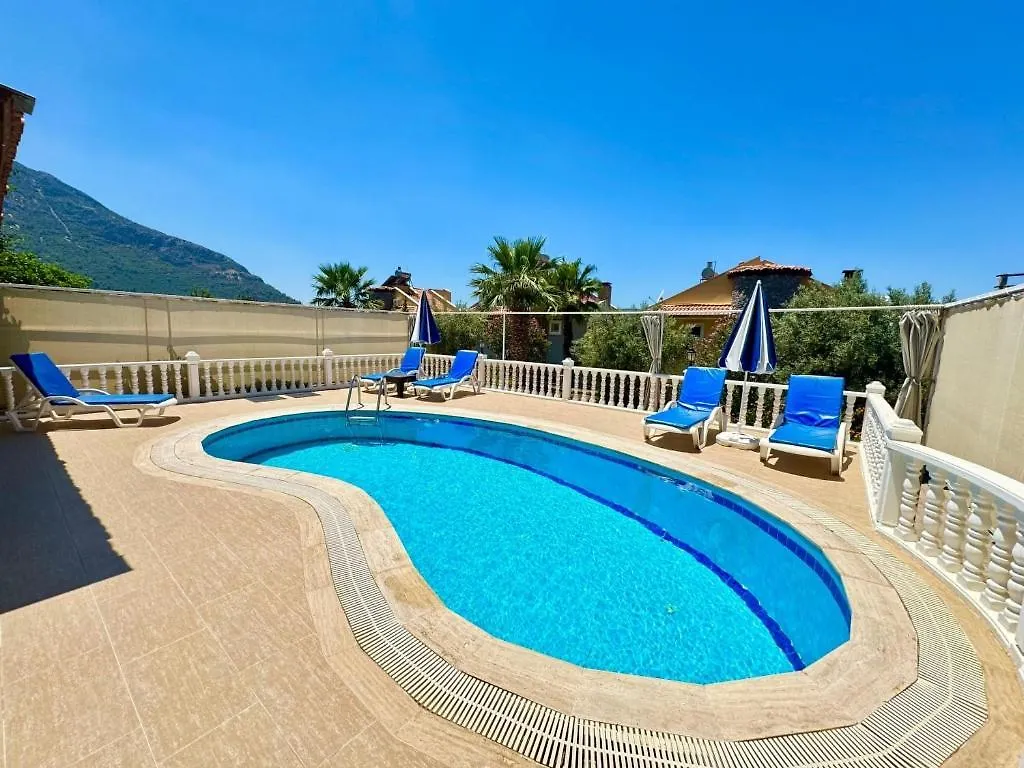 Villa Defne 3 Oeluedeniz Private Pool Villa Fethiye 0*,  Turkey